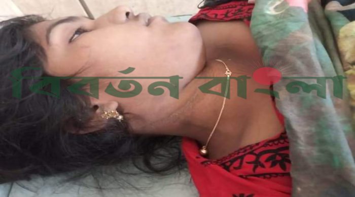 মুজিবনগরে গলায় ফাঁস দিয়ে গৃহবধুর আত্মহত্যা