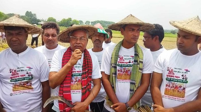 গাংনীতে কৃষকের ধান কেটে ঘরে তুলে দিলো কৃষকলীগ