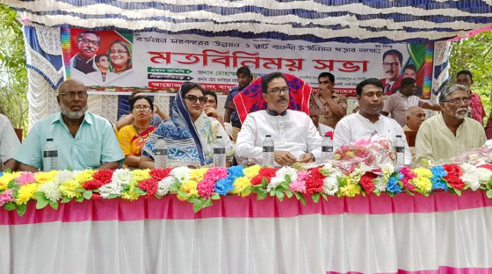 স্মার্ট বামন্দি ইউনিয়ন গড়তে মতবিনিময় সভা