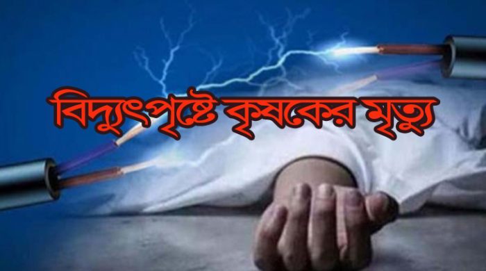 হরিণাকুণ্ডে বিদ্যুৎপৃষ্টে এক কৃষকের মৃত্যু