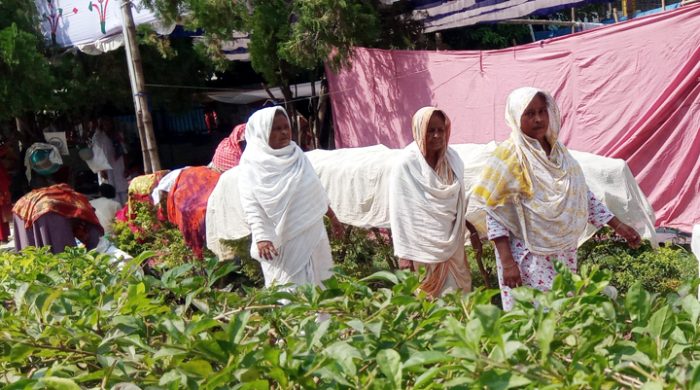 ভেঙ্গে গেল ছেউড়িয়ার লালন ভক্তের ভবের হাট
