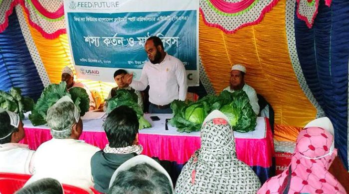 মেহেরপুরে আইএফডিসি’র শস্য র্কতন ও মাঠ দিবস