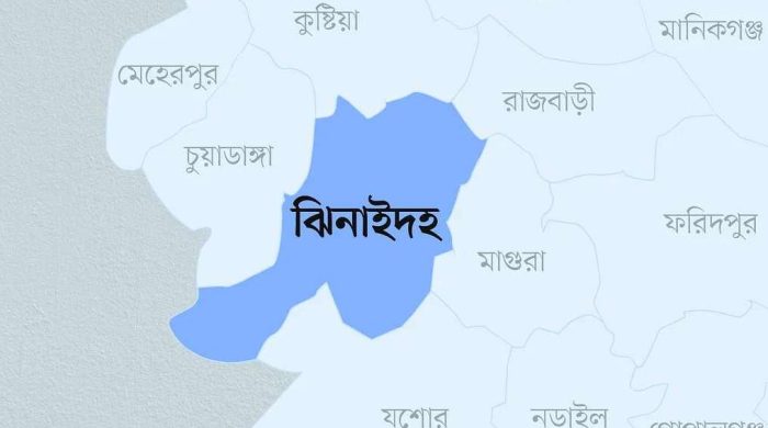 ঝিনাইদহে আচরণবিধি লঙ্ঘনের অভিযোগে নৌকার প্রার্থীর বিরুদ্ধে মামলা