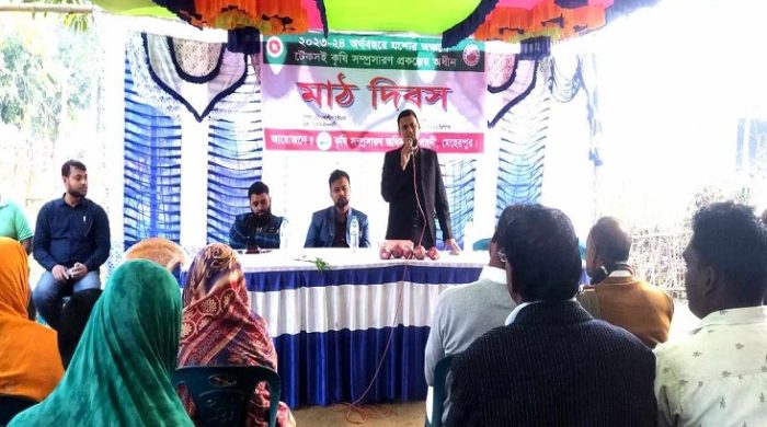 গাংনীতে টেকসই কৃষি সম্প্রসারণে মাঠ দিবস অনুষ্ঠিত