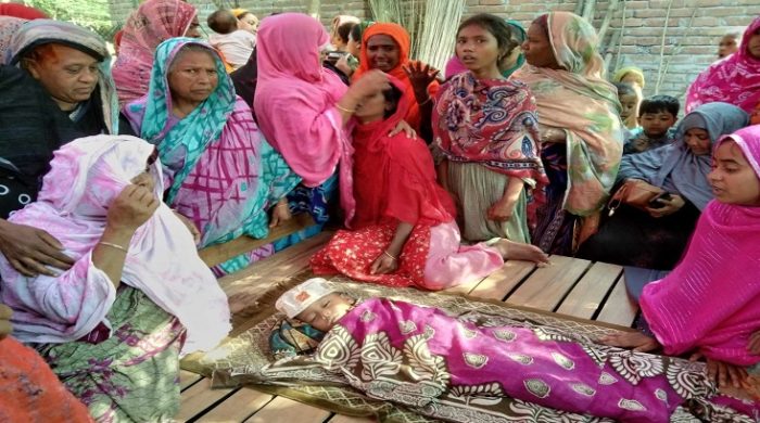 মেহেরপুরে পুকুরে ডুবে শিশুর মৃত্যু