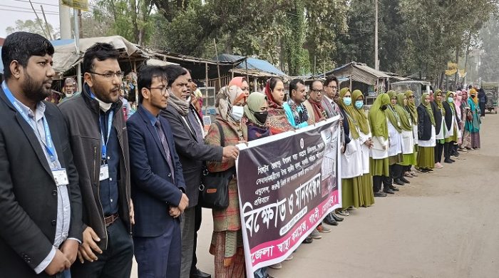 গাংনীতে চিকিৎসকদের মানববন্ধন ও কর্মবিরতী