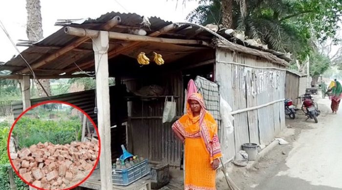 মেহেরপুরে খাস জমি দখল নিতে এক ভূমিহীন নারীকে উচ্ছেদের পাইতারা