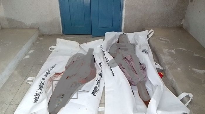 মেহেরপুরে ট্রাক চাপায় দুইজন নিহত
