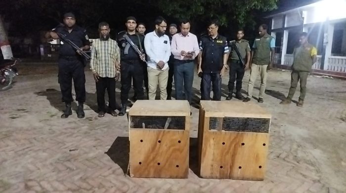 গাংনীতে আফ্রিকান পাখি উদ্ধার, বহনকারীর জরিমানা ১০ হাজার টাকা