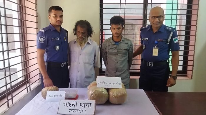 গাংনীতে ৭ কেজি গাঁজাসহ দুই মাদক পাচারকারী আটক