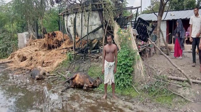 গাংনীতে অগ্নীকান্ডে পাঁচ লক্ষাধিক টাকার ক্ষয়ক্ষতি