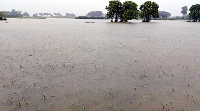 মেহেরপুরে টানা ঝড়-বৃষ্টিতে ফসলের ব্যাপক ক্ষয়ক্ষতি
