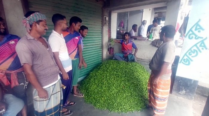মেহেরপুরের বাজারে কমছে কাঁচা মরিচ ॥ ১৬০ টাকা বেড়েছে কেজিতে