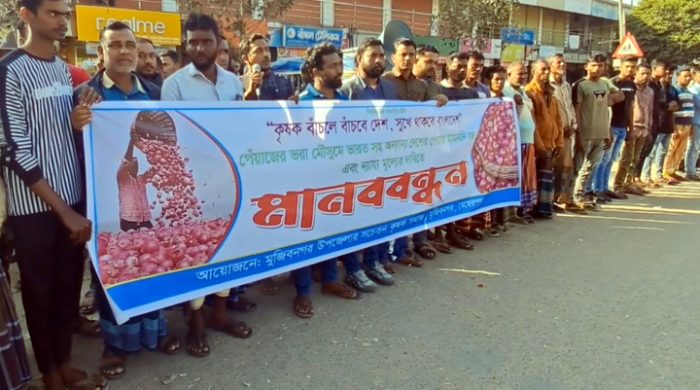 পেঁয়াজের ন্যায্য মূল্যের দাবিতে মুজিবনগরে মানববন্ধন করেছে চাষিরা