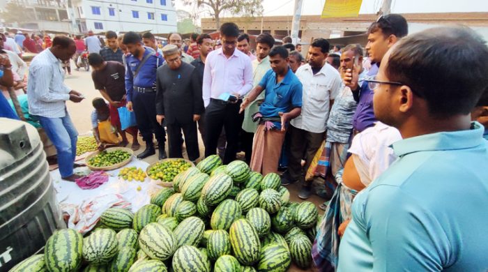 গাংনী বাজারে ৬০ টাকা হালি লেবু ম্যাজিস্ট্রেট দেখে ৩০ টাকায়