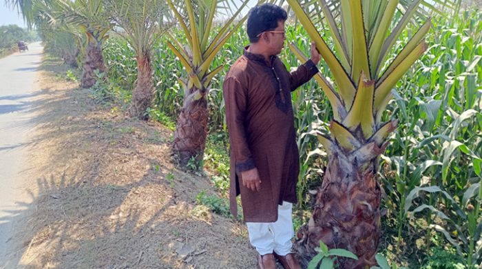 বজ্রপাত রোধে ঝিনাইদহের জহির রায়হানের ব্যতিক্রমী উদ্যোগ