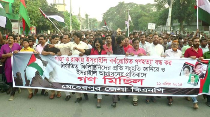 ফিলিস্তিনে গণহত্যার প্রতিবাদে মেহেরপুরে বিএনপি'র গণ মিছিল