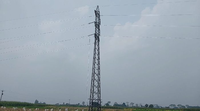 মেহেরপুরে পিজিসিবি নির্মাণাধীন লাইনের ক্যাবল চুরি