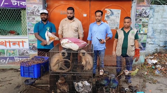 মুজিবনগরে মনোরমা চিড়িয়াখানায় অভিযানে ২৭টি বন্যপ্রাণী উদ্ধার
