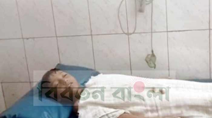 গাংনীতে পুকুরের পানিতে ডুবে শিশুর মৃত্যু