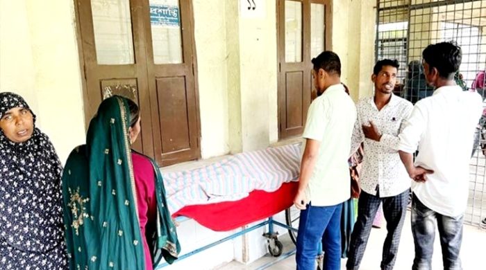 কুষ্টিয়ায় ঘুমের মধ্যে সাপের কামড়ে যুবকের মৃত্যু
