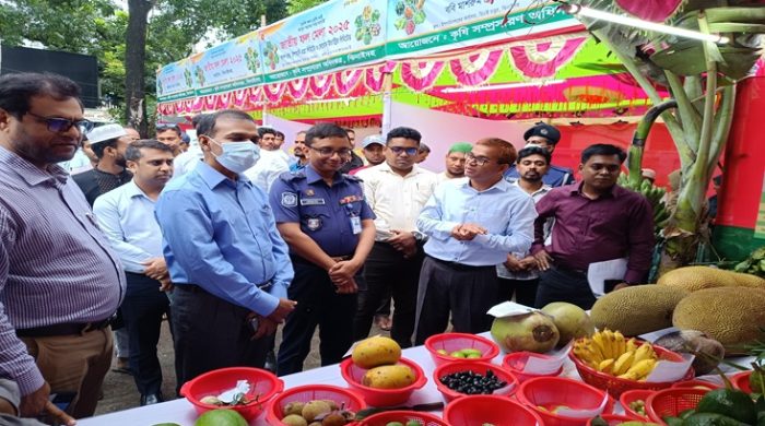ঝিনাইদহে ৩ দিন ব্যাপী জাতীয় ফল মেলা শুরু
