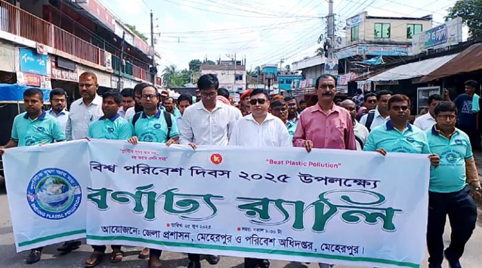 মেহেরপুরে বিশ্ব পরিবেশ দিবস পালিত