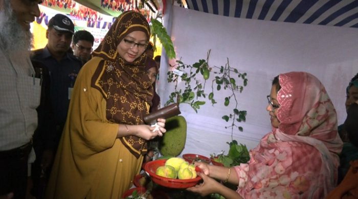 মেহেরপুরে তিন দিনব্যাপী ফল মেলার উদ্বোধন