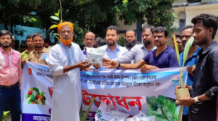 গাংনীতে গ্রীষ্মকালীন সবজি বীজ, সার ও চারা বিতরণের উদ্বোধন