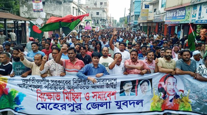 মেহেরপুরে জেলা যুবদলের বিক্ষোভ মিছিল ও সমাবেশ