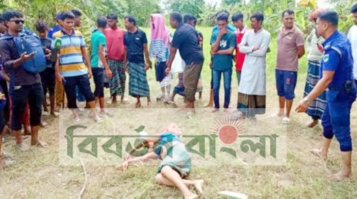 পদ্মার চর থেকে কিশোর ভ্যানচালকের গলা কাটা মরদেহ উদ্ধার