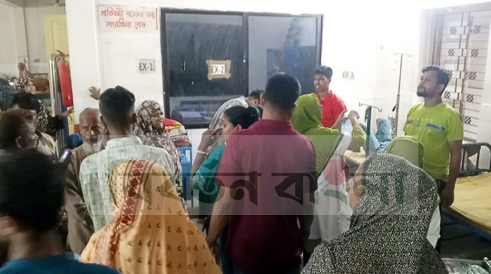 জীবননগরে দুই ভাইকে কুপিয়ে হত্যা