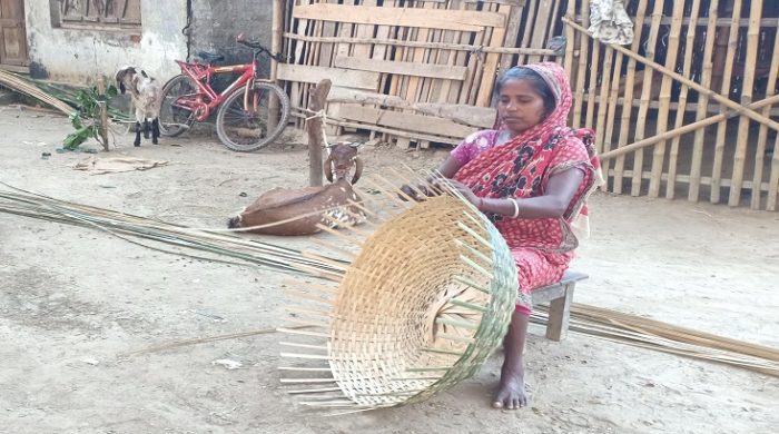 মেহেরপুরে কর্মক্ষেত্রে বাড়ছে নারীর অংশগ্রহণ-নিজের পায়ে দাঁড়াচ্ছে গ্রামের নারীও