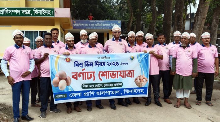 ঝিনাইদহে ডিম দিবসের র‌্যালি ও আলোচনা সভা অনুষ্ঠিত