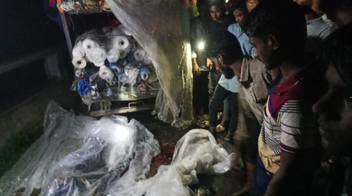 মেহেরপুরে সড়ক দুর্ঘটনায় সাইফুল ইসলাম নামের এক ব্যবসায়ী নিহত