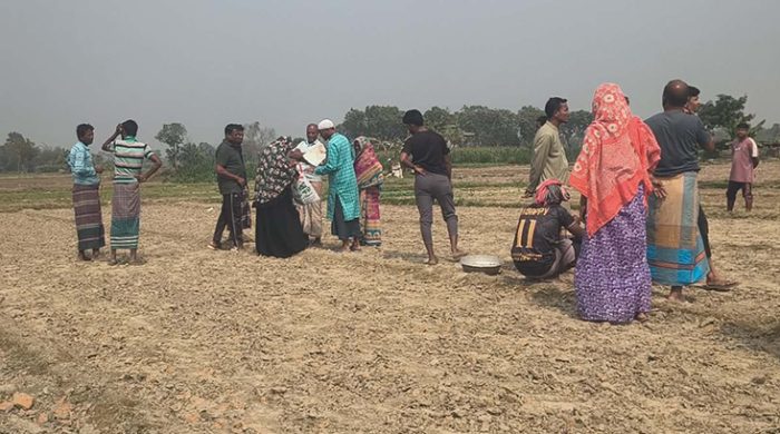 মেহেরপুরে বিষ প্রয়োগ করে লাল শাক পুড়িয়ে দেওয়ার অভিযোগ প্রতিপক্ষের বিরুদ্ধে 