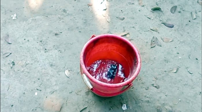 গাংনীতে ভোট কেন্দ্রের পাশ থেকে ককটেল সাদৃশ্য সন্দেহজনক বস্তু উদ্ধার