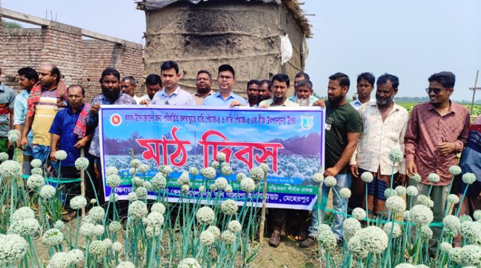 পরিবর্তিত জলবায়ুতে পেঁয়াজ বীজ উৎপাদন বাড়াতে গাংনীতে মাঠ দিবস অনুষ্ঠিত