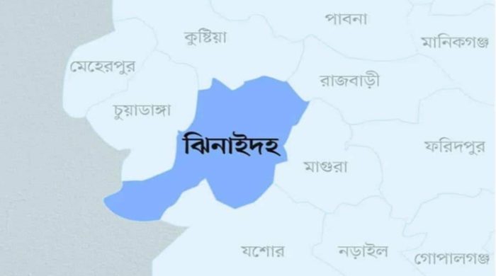 তেল না পেয়ে দিশেহারা ঝিনাইদহের বোরো চাষিরা