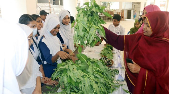 বেঙ্গলী মিডিয়াম হাই স্কুলে সবজি প্রদর্শনী অনুষ্ঠিত