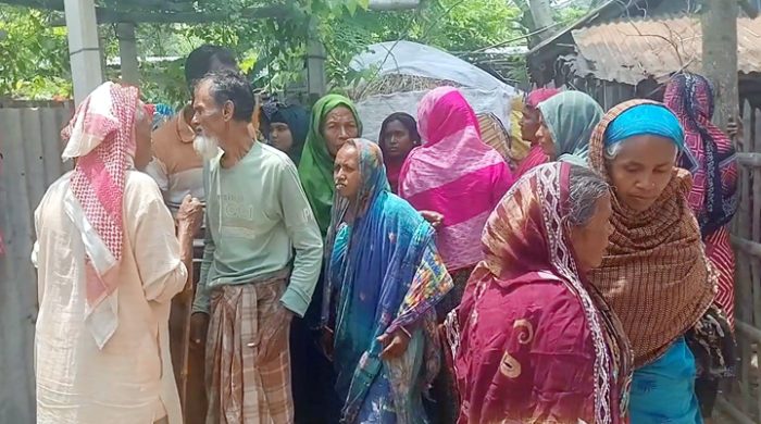 গাংনীতে বিদ্যুৎস্পৃষ্টে দিনমজুর নিহত, আহত-১