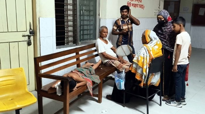 গাংনীতে বেওয়ারিশ কুকুরের কামড়ে শিশুসহ আহত-১৭