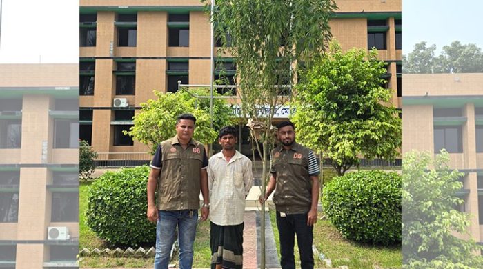 মেহেরপুরে ডিবির অভিযানে গাঁজা গাছসহ আটক-১