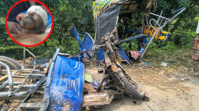 মেহেরপুরে ট্রাকের ধাক্কায় গুরুত্বর আহত ইজিবাইক চালকের মৃত্যু