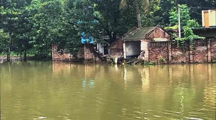 মুজিবনগরে পানিবন্দী ৩৫টি পরিবার, চরম দুর্ভোগে মানুষ ও গবাদিপশু