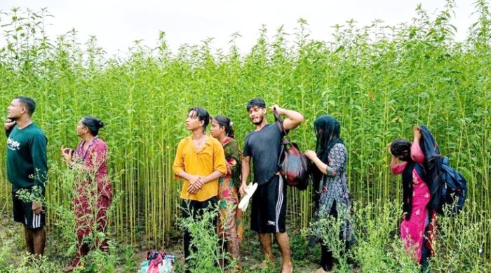 দৌলতপুর সীমান্তে বিএসএফের পুশইনের চেষ্টা রুখে দিল বিজিবি