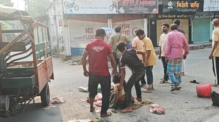 মেহেরপুরে নছিমন-ইজিবাইকের মুখোমুখি সংঘর্ষে নারীর মৃত্যু