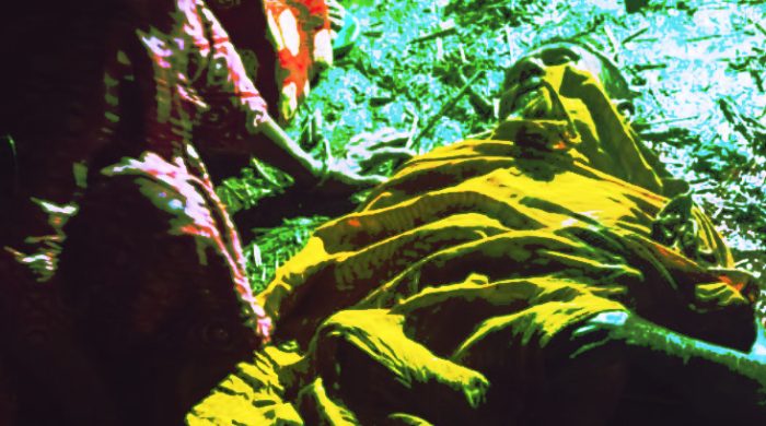 দৌলতপুরে বড় ভাইয়ের হাসুয়ার কোপে ছোট ভাই নিহত