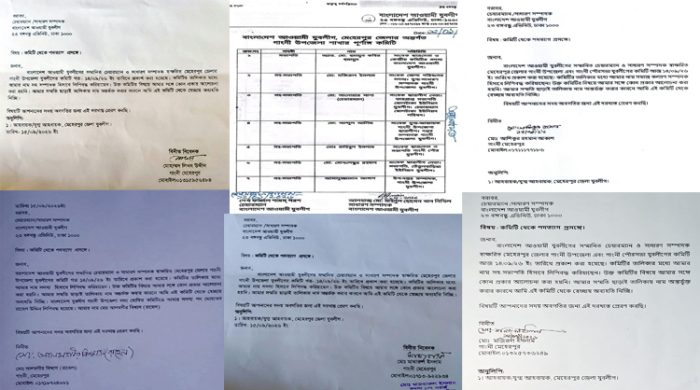 গাংনী উপজেলা আওয়ামী যুবলীগ থেকে পদত্যাগের হিড়িক