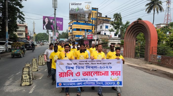বিশ্ব ডিম দিবস উপলক্ষ্যে মেহেরপুরে র‍্যালি ও আলোচনা সভা